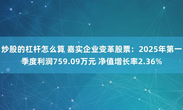 炒股的杠杆怎么算 嘉实企业变革股票：2025年第一季度利润759.09万元 净值增长率2.36%