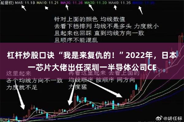 杠杆炒股口诀 “我是来复仇的！”2022年，日本一芯片大佬出任深圳一半导体公司CE