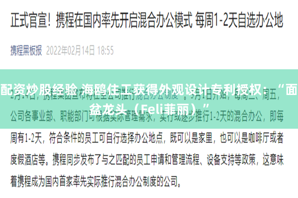 配资炒股经验 海鸥住工获得外观设计专利授权：“面盆龙头（Feli菲丽）”