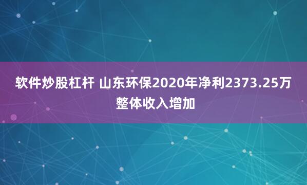 软件炒股杠杆 山东环保2020年净利2373.25万 整体收入增加