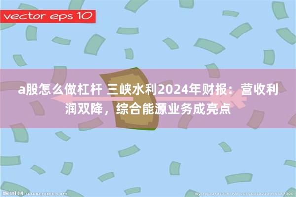 a股怎么做杠杆 三峡水利2024年财报：营收利润双降，综合能源业务成亮点