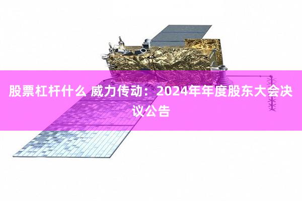 股票杠杆什么 威力传动：2024年年度股东大会决议公告
