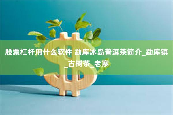 股票杠杆用什么软件 勐库冰岛普洱茶简介_勐库镇_古树茶_老寨
