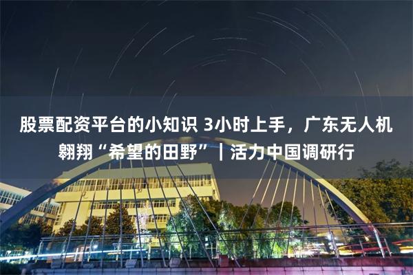 股票配资平台的小知识 3小时上手，广东无人机翱翔“希望的田野”｜活力中国调研行